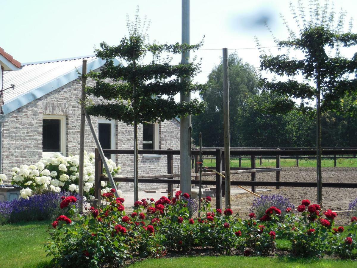 B & B " De 7 Sprong " Sevenum Exteriör bild