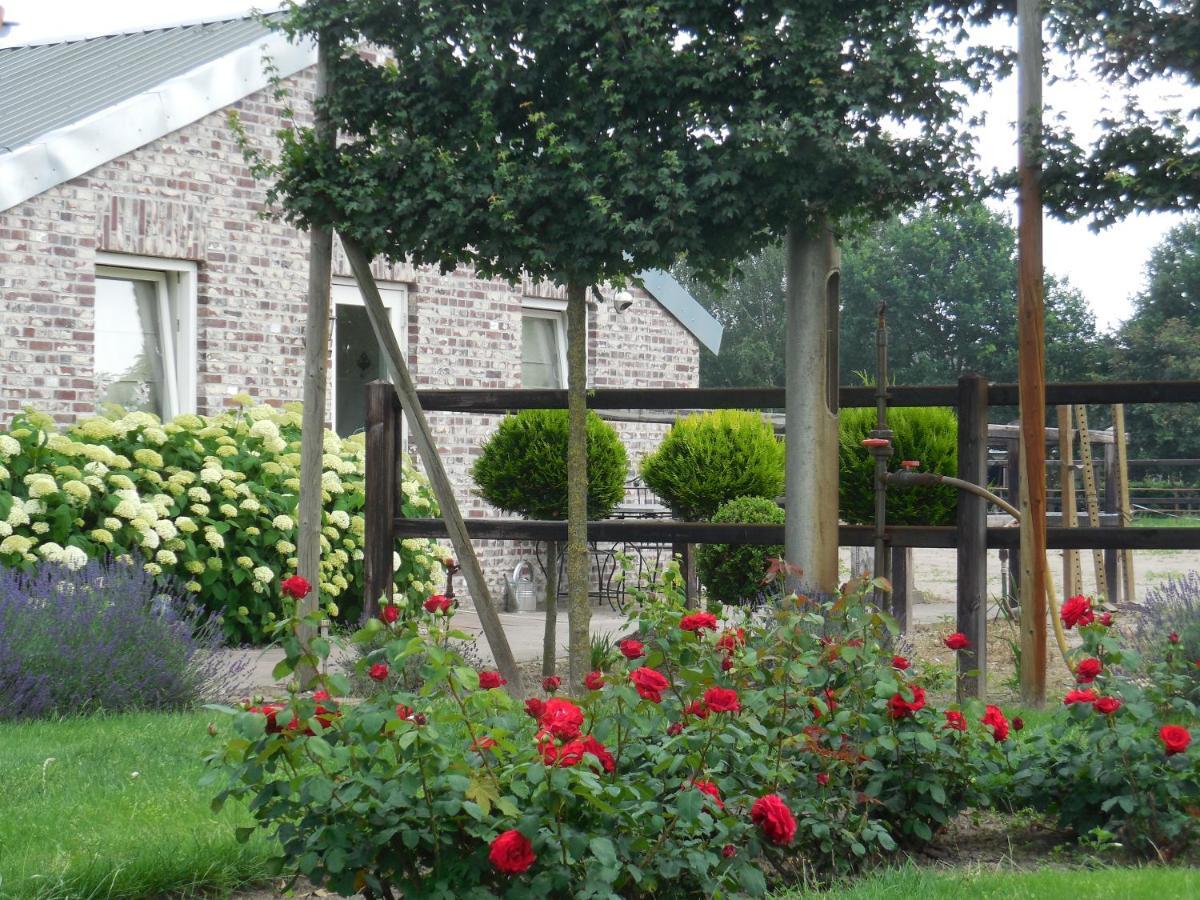 B & B " De 7 Sprong " Sevenum Exteriör bild